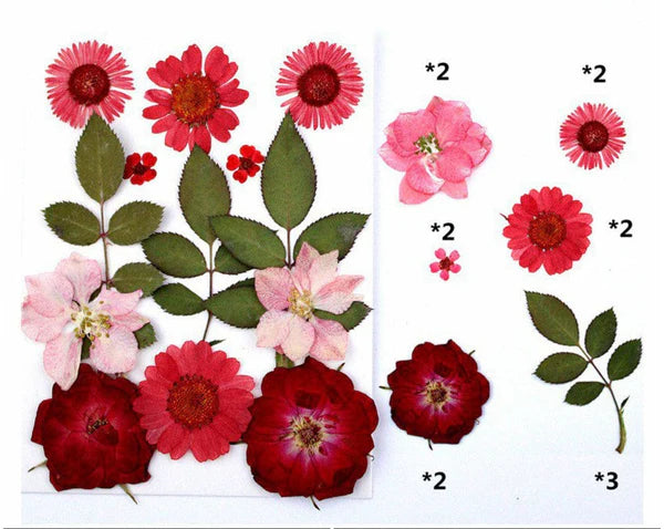 13 In 1 Pressed Flower