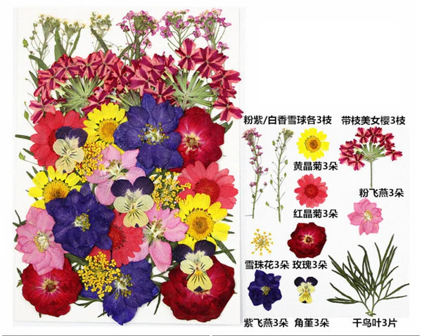 30 In 1 Pressed Flowers