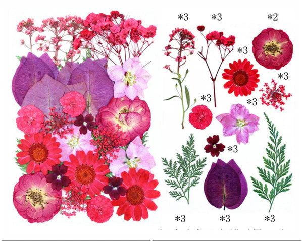 32 In 1 Pressed Flower