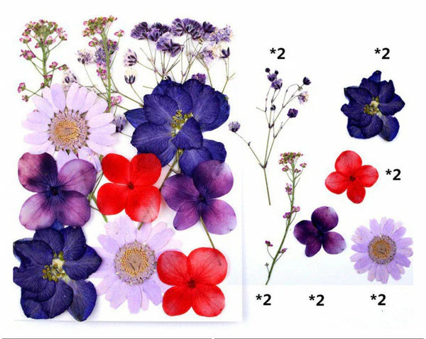 12 In 1 Pressed Flowers