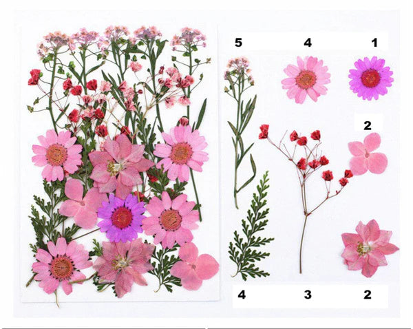 21 In 1 Pressed Flower