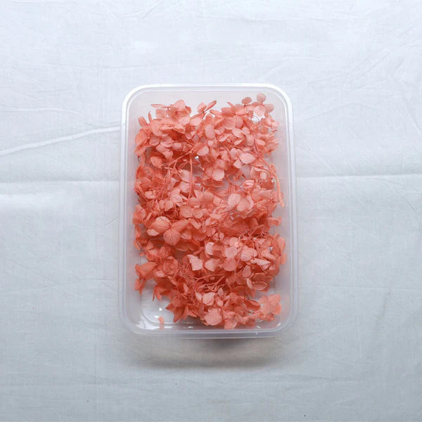 Dry Flowers Box