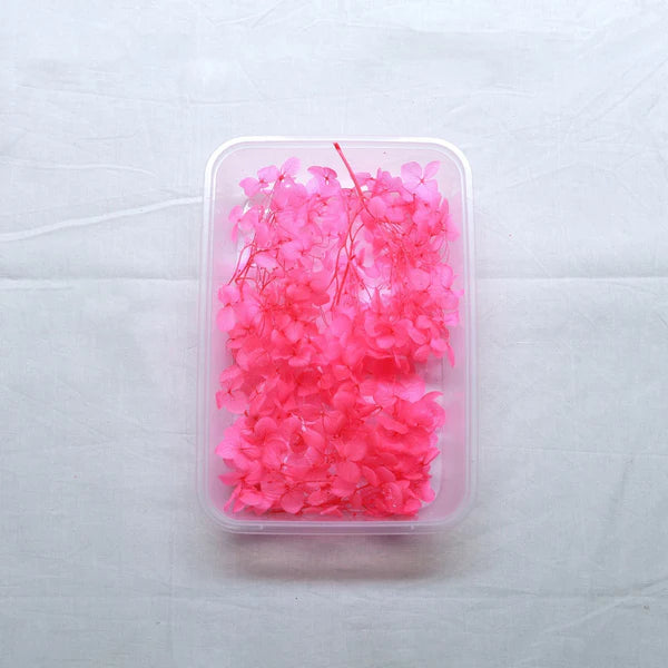 Dry Flowers Box