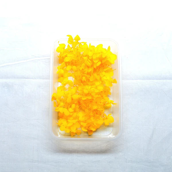Dry Flowers Box