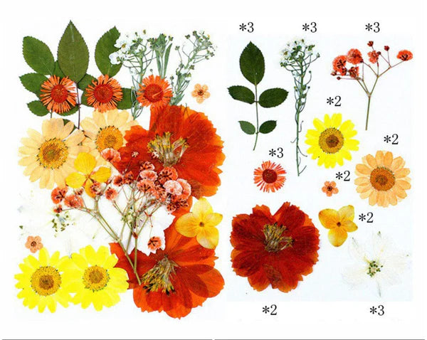 25 In 1 Pressed Flower