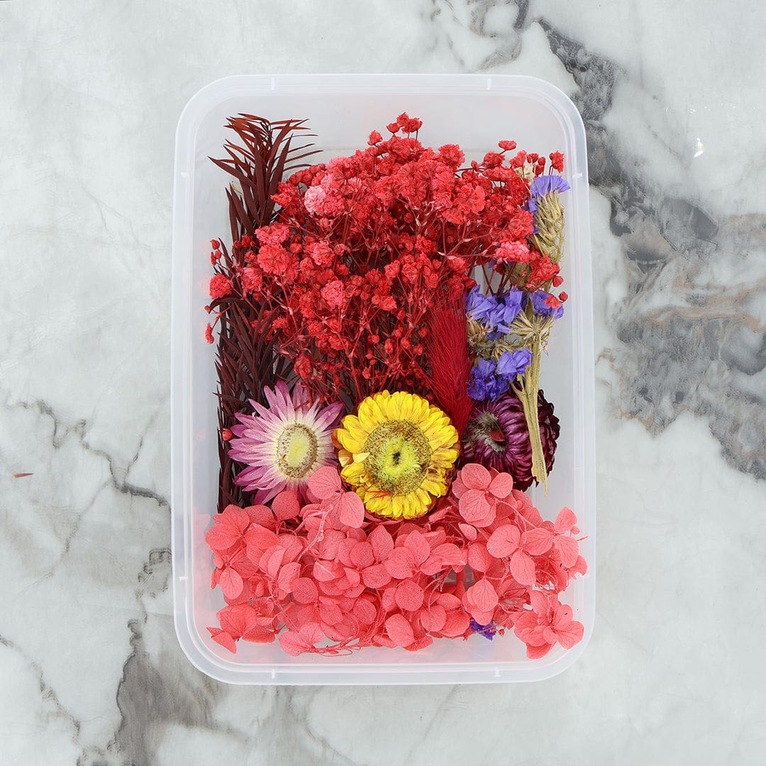 Dry Flower Box - Random Color