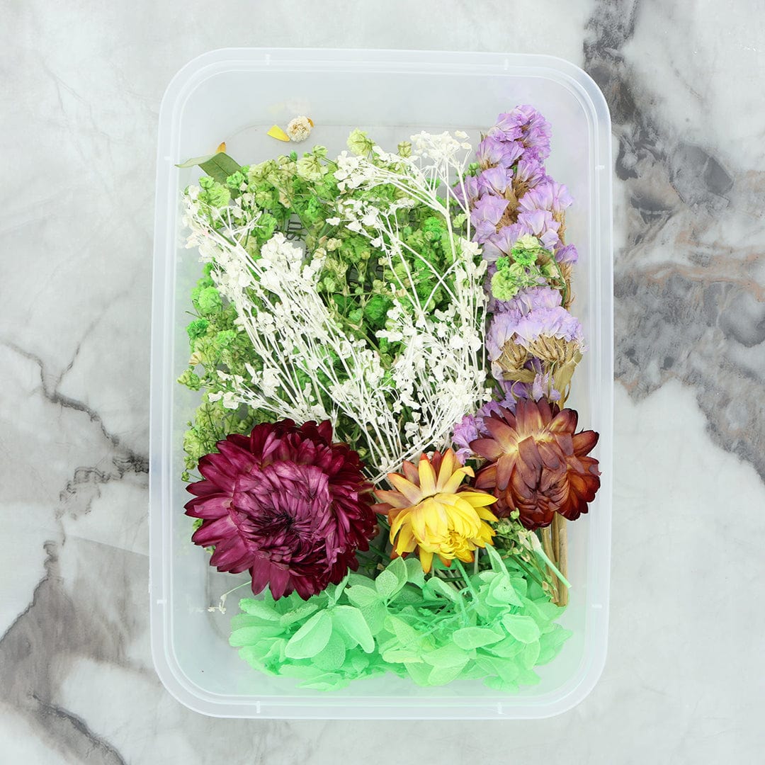 Dry Flower Box - Random Color