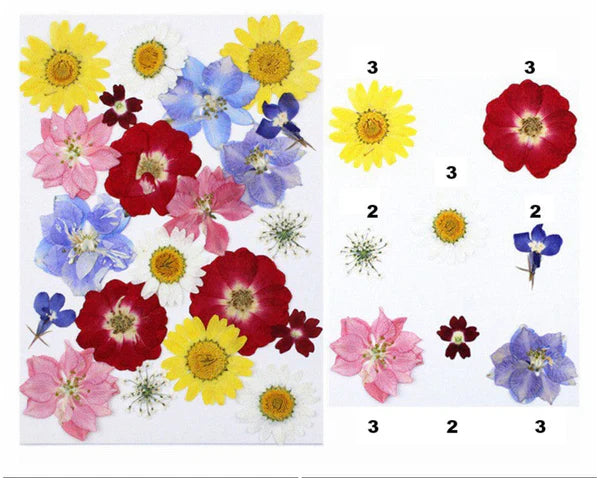 21 IN 1 Pressed Flower