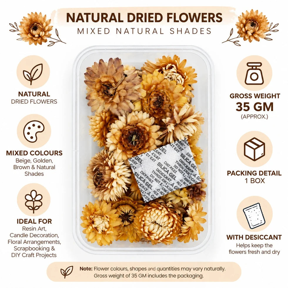 Natural Dried Straw Flowers Beige, Golden & Brown Mix for Resin Art