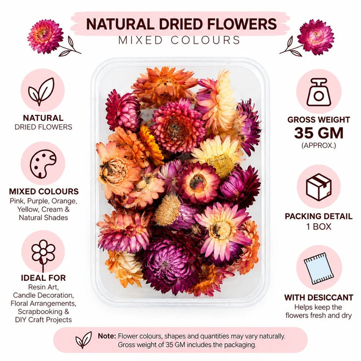 Multicolor Natural Dried Straw Flowers for DIY Crafts, Resin Art & Floral Decorations