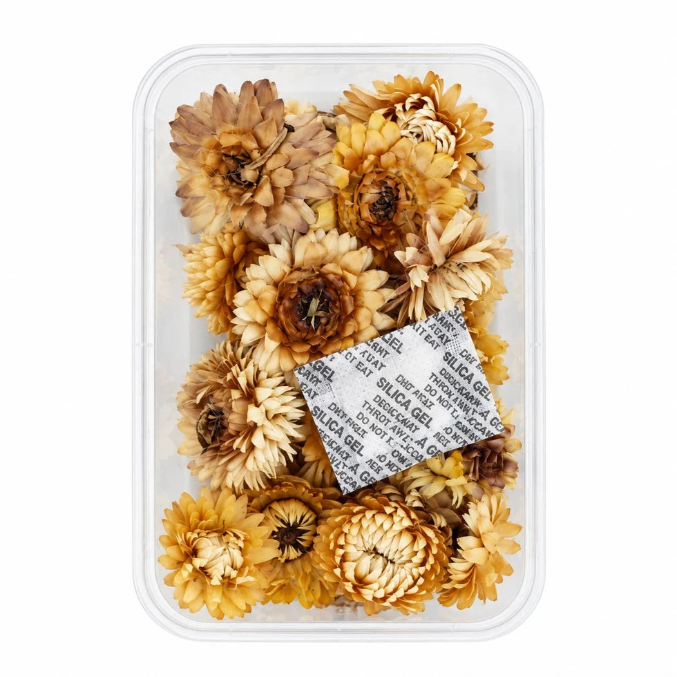 Natural Dried Straw Flowers Beige, Golden & Brown Mix for Resin Art