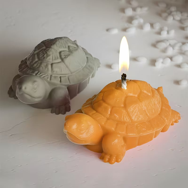 Turtle Mould