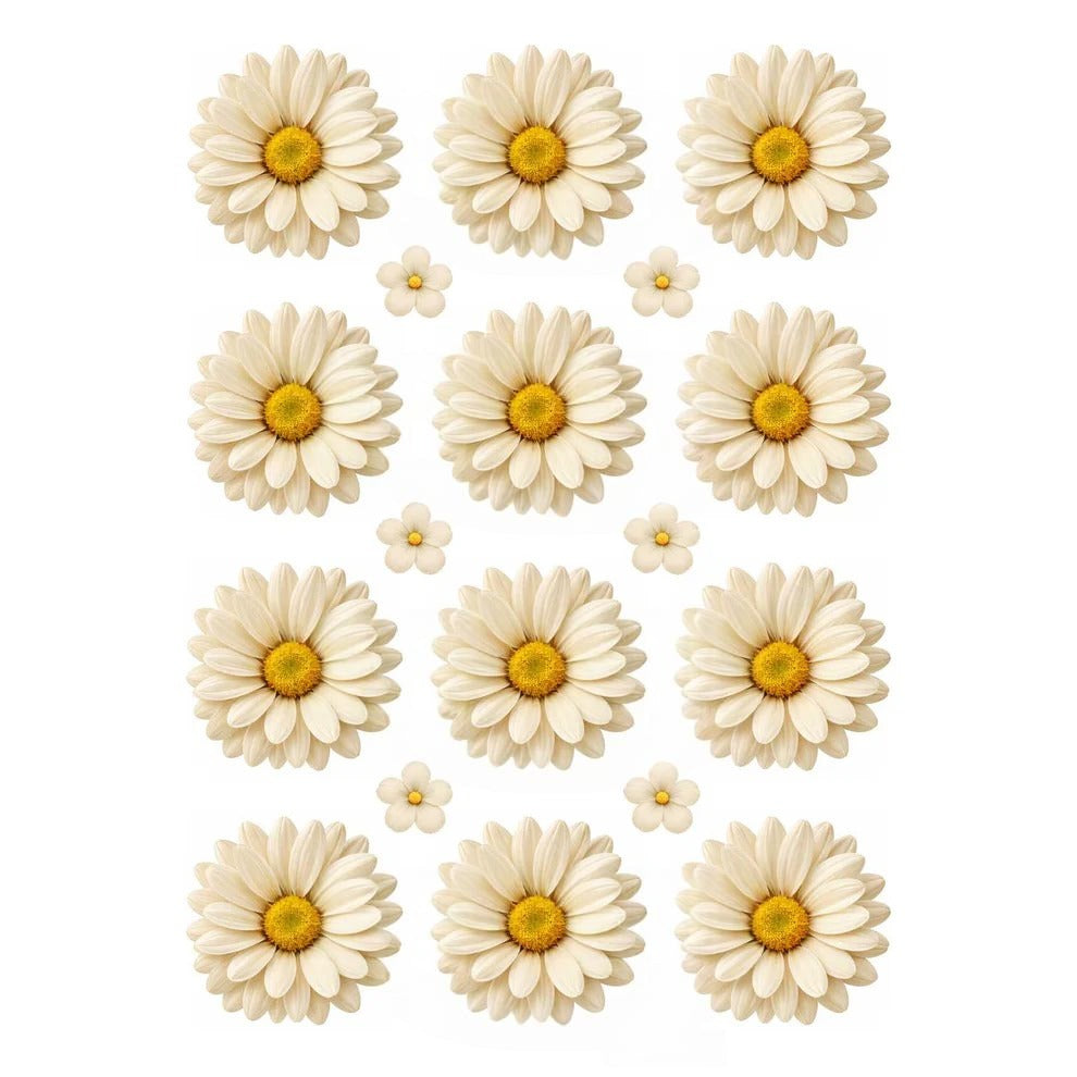 Off White Daisy Flowers UV DTF Sticker