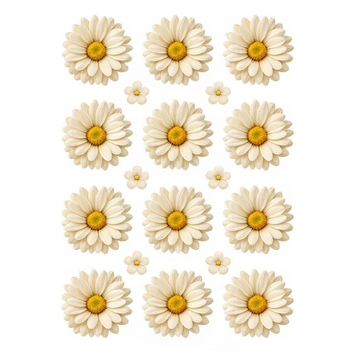 Off White Daisy Flowers UV DTF Sticker