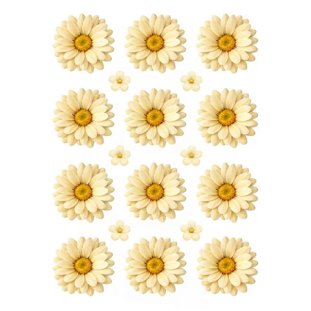 Ivory Daisy Flowers UV DTF Sticker