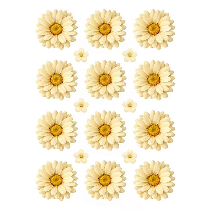 Ivory Daisy Flowers UV DTF Sticker
